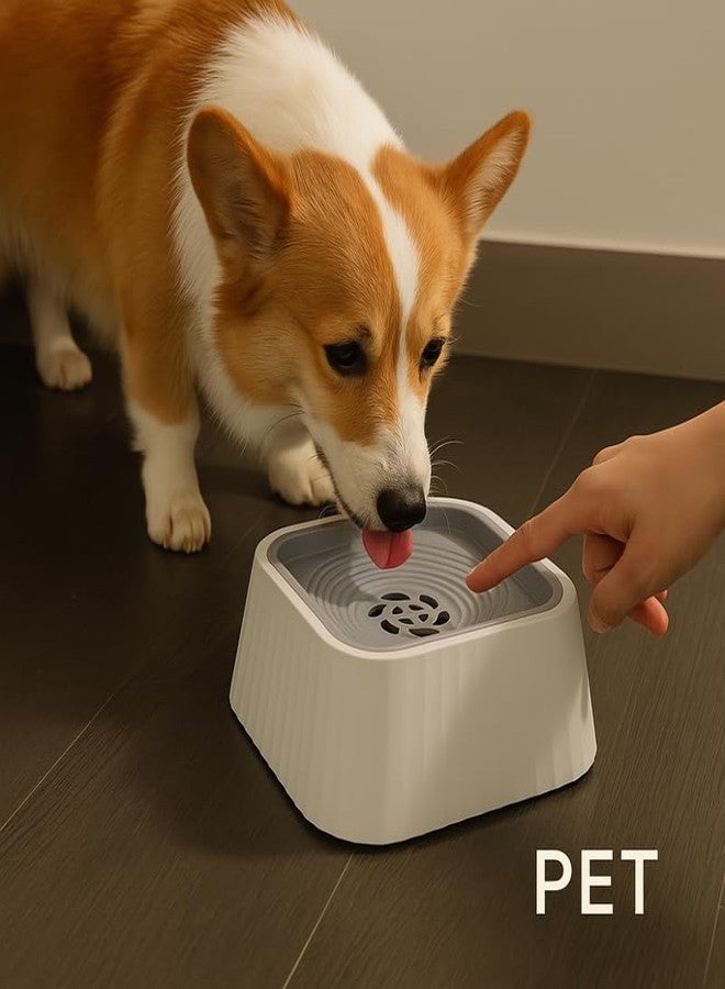 KittuPet وعاء طعام للقطط من كيتوبيت مانع للانزلاق بتصميم عظمة سمكة بلاستيكية - Image 5